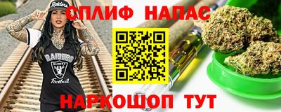 СК Дубна